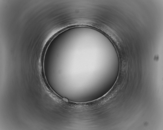 X0000097610936200803071447