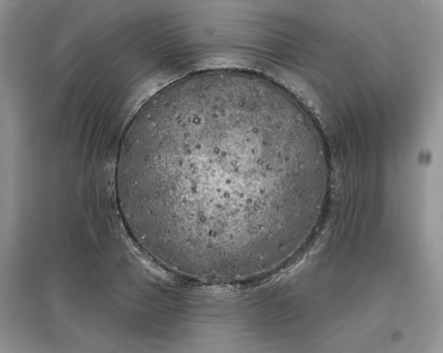 X0000097610937200803071447