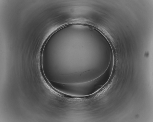 X0000097610941200803071447