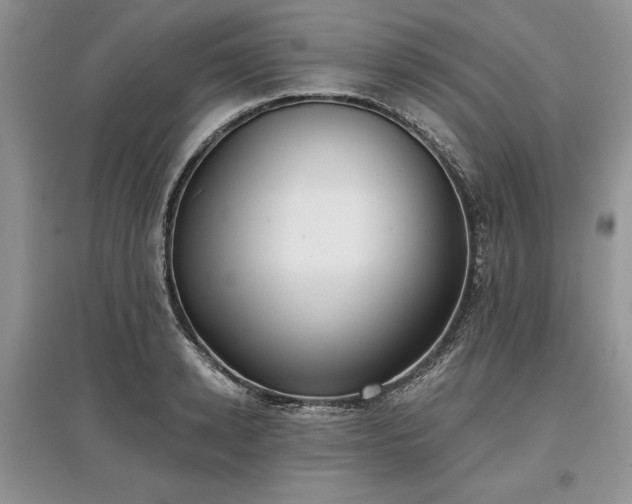 X0000097610942200803071447