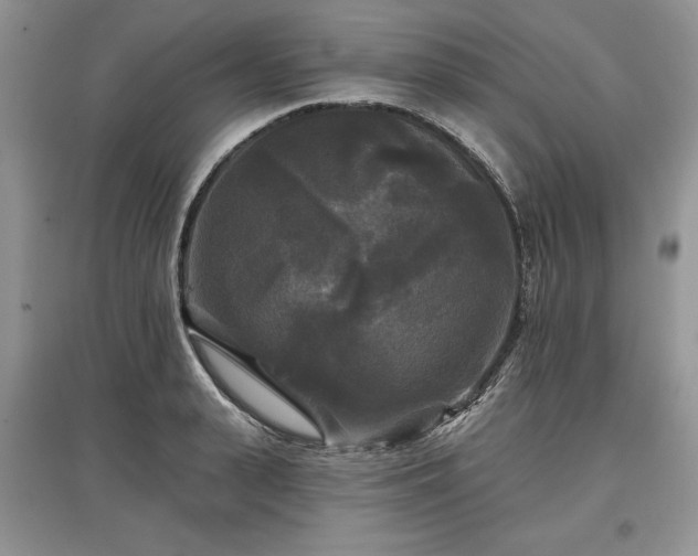 X0000097610943200803071447