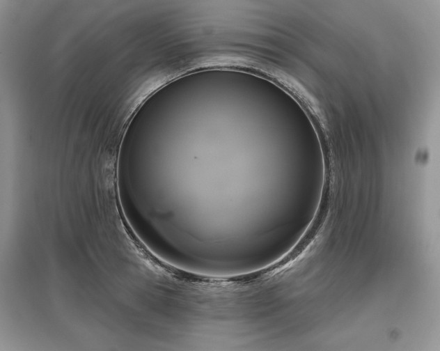X0000097610945200803071447