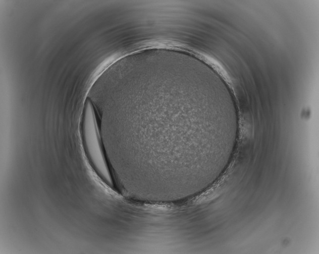 X0000097610946200803071447