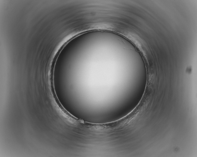 X0000097610947200803071447