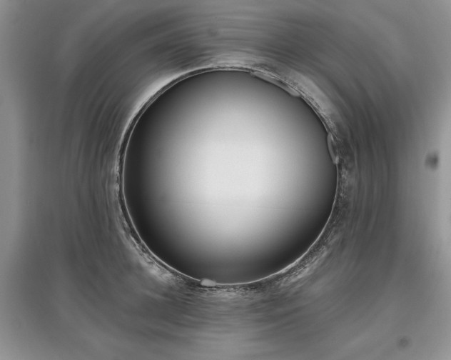 X0000097610948200803071447