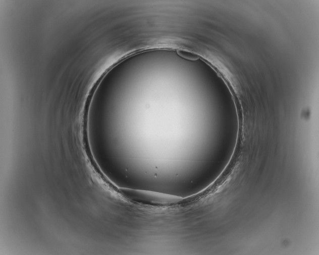 X0000097610949200803071447