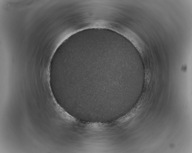 X0000097610950200803071447