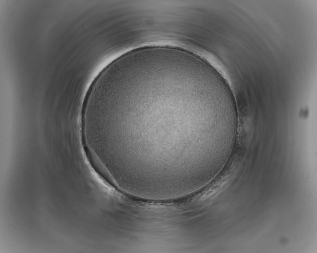 X0000097610951200803071447