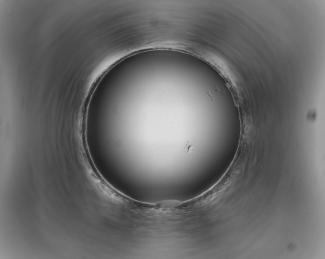 X0000097610952200803071447