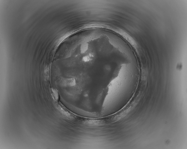 X0000097610953200803071447