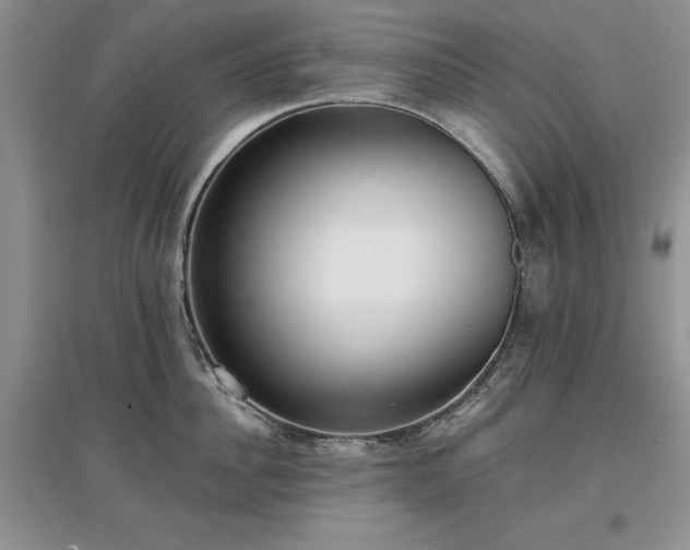 X0000097610956200803071447