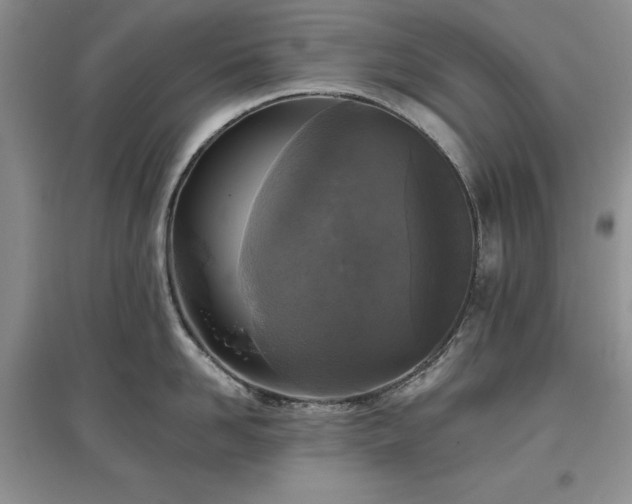 X0000097610958200803071447