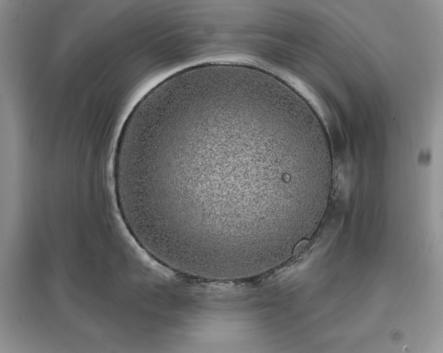 X0000097610959200803071447