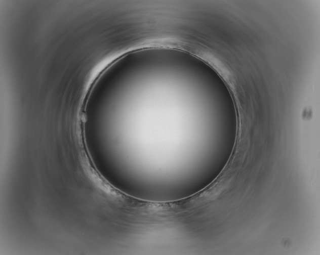 X0000097610960200803071447