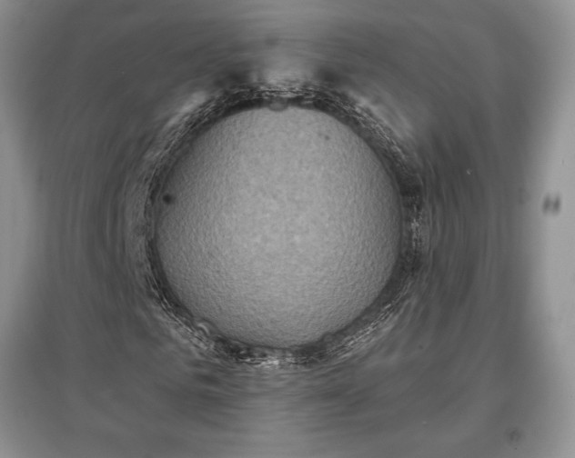 X0000097610961200803071446