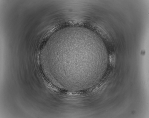 X0000097610963200803071446