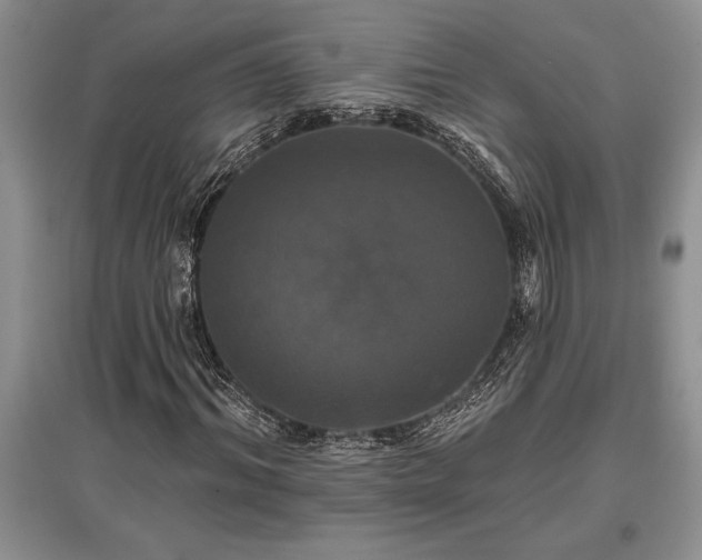 X0000097610964200803071446