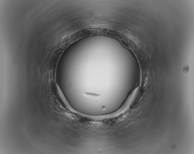 X0000097610965200803071446