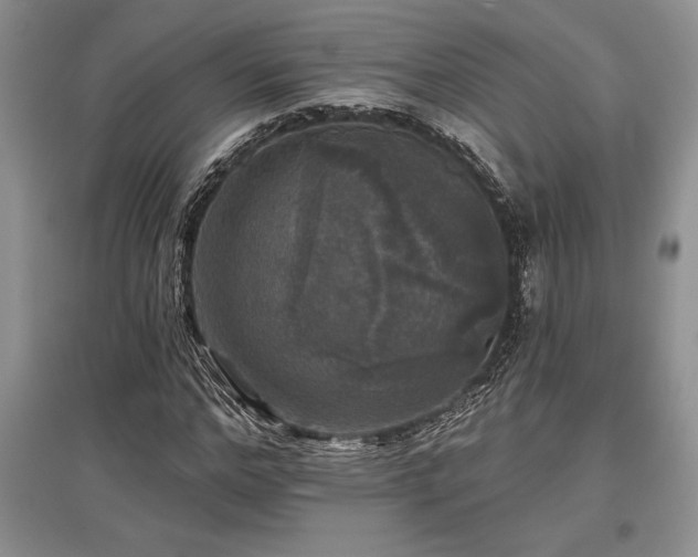 X0000097610968200803071446