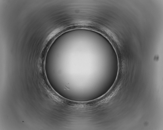 X0000097610970200803071446