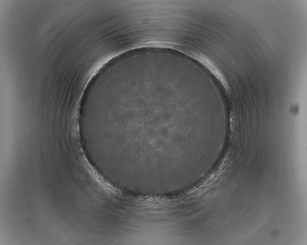X0000097610972200803071446