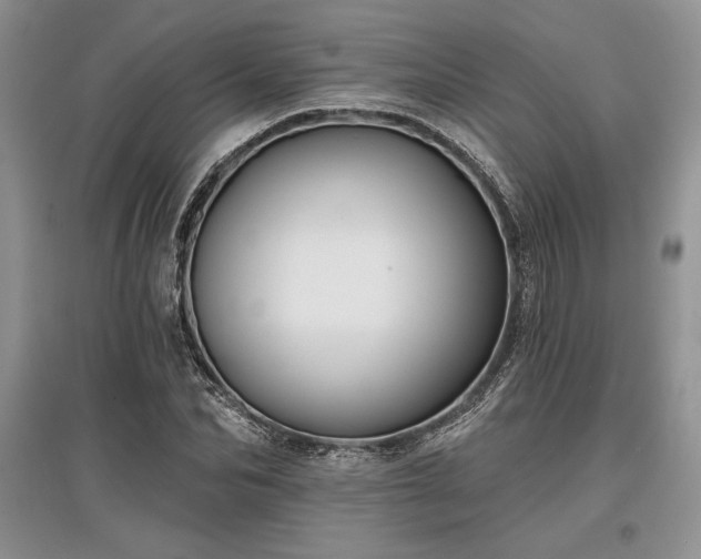 X0000097610974200803071446