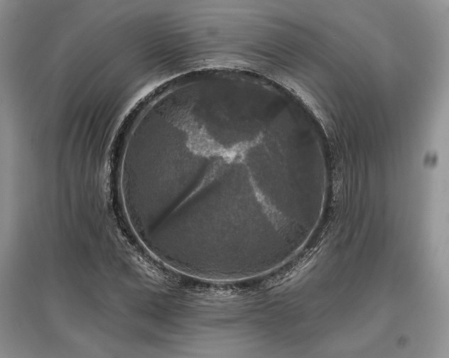 X0000097610975200803071446