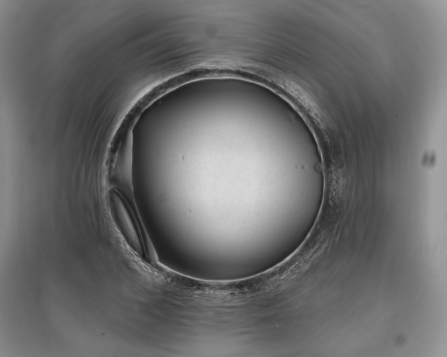 X0000097610976200803071446
