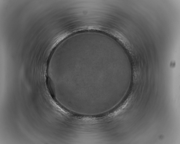 X0000097610977200803071446