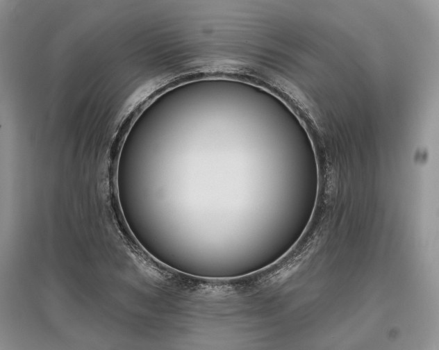 X0000097610978200803071446