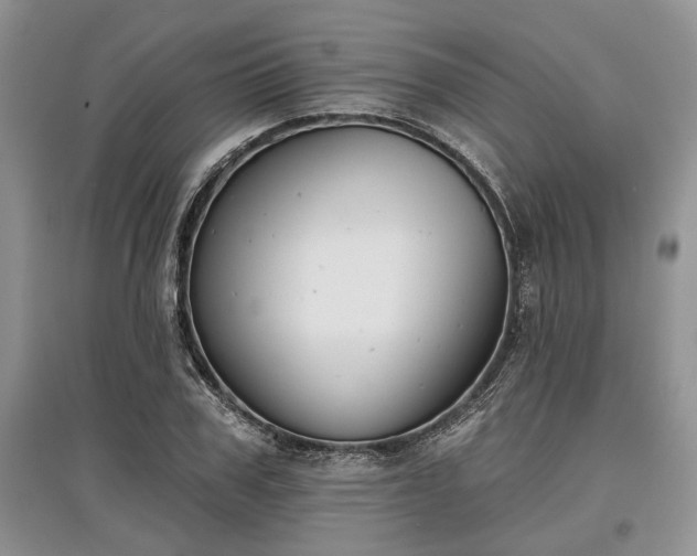 X0000097610979200803071446