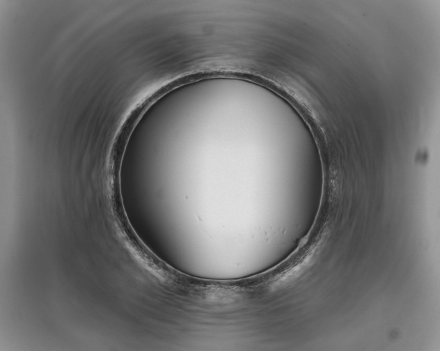 X0000097610981200803071446