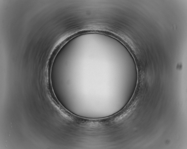 X0000097610982200803071446