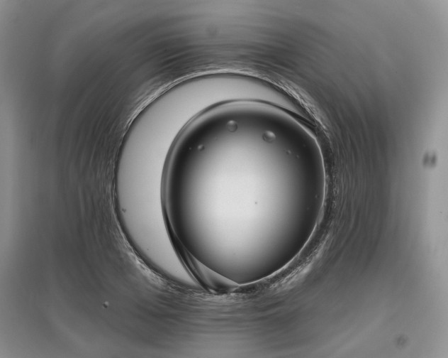 X0000097610985200803071446