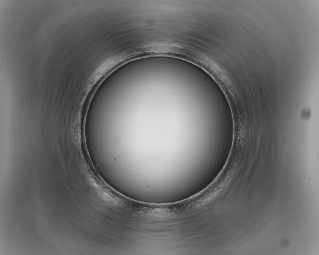 X0000097610986200803071446