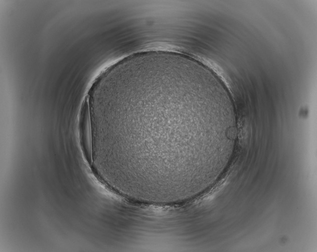 X0000097610987200803071446