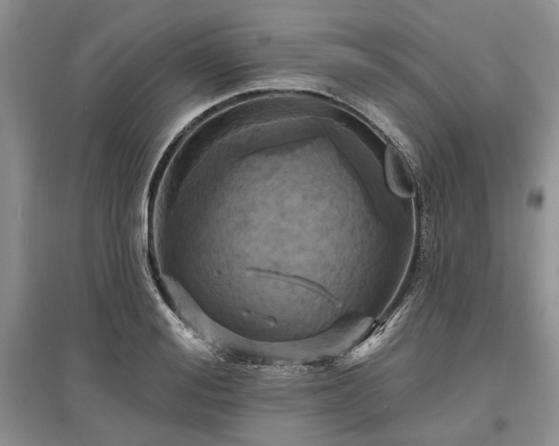 X0000097610988200803071446
