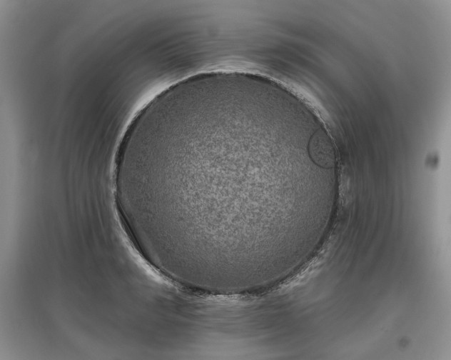 X0000097610990200803071446