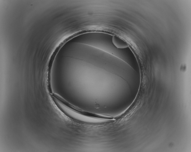 X0000097610992200803071446