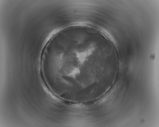X0000097610994200803071446