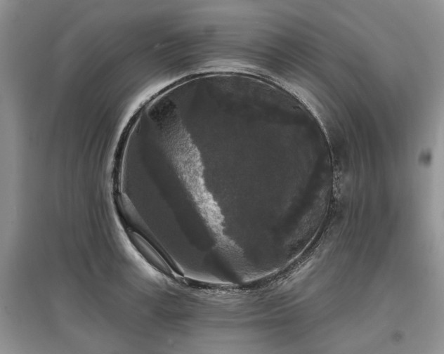 X0000097610995200803071446