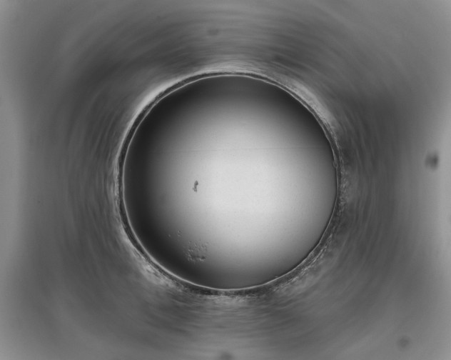 X0000097610996200803071446