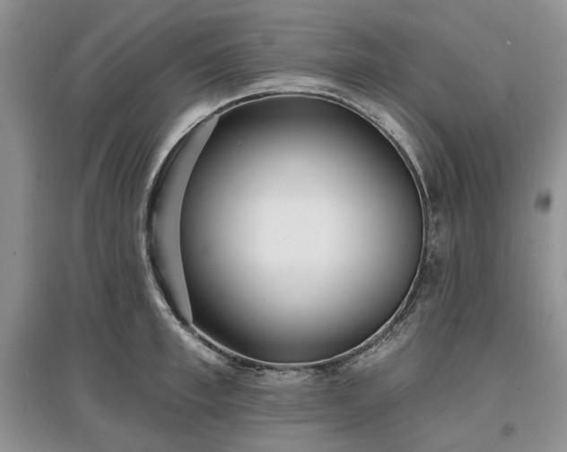 X0000097610997200803071446