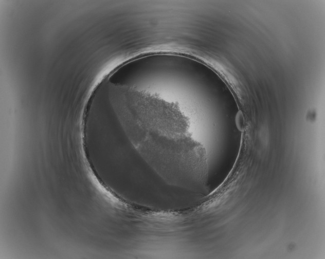X0000097610998200803071446