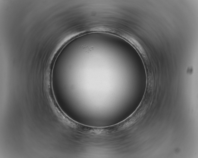 X0000097611000200803071446