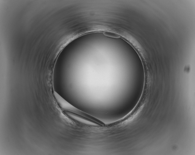 X0000097611001200803071446