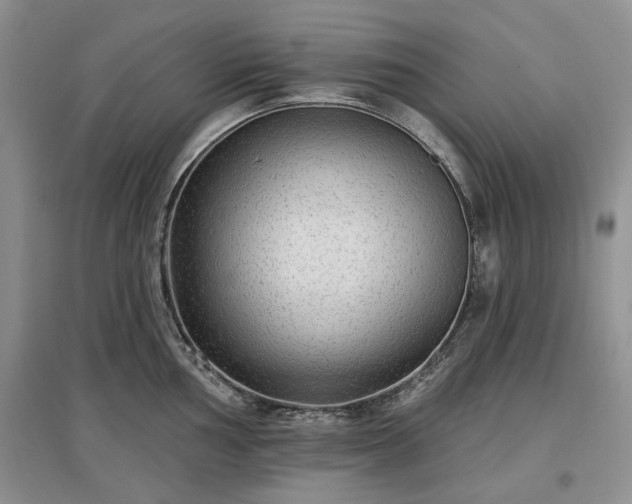 X0000097611002200803071446