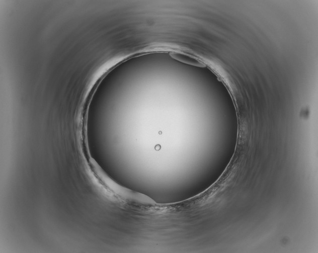 X0000097611003200803071446