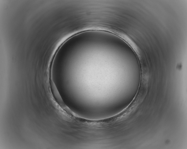 X0000097611004200803071446