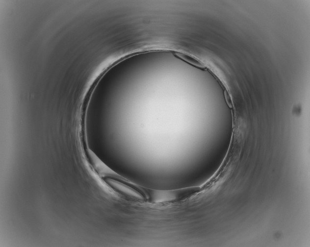 X0000097611005200803071446